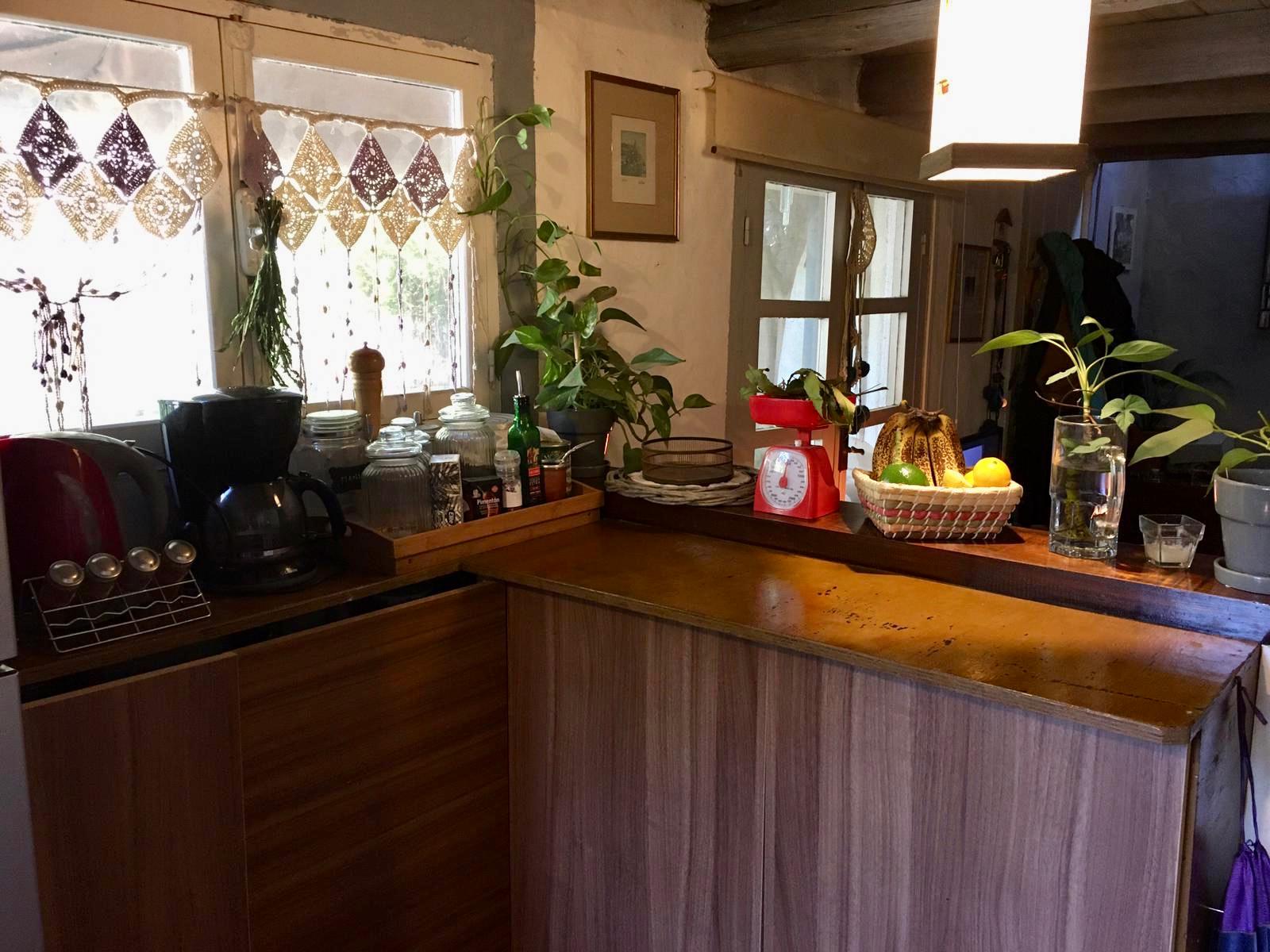 Imagen 11 de la galería