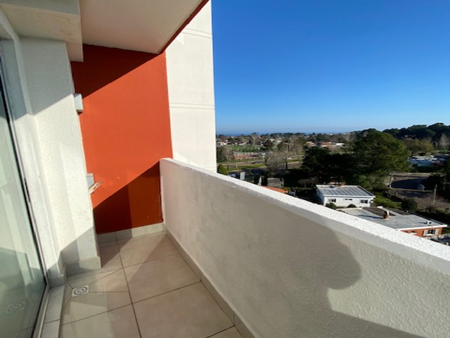 Imagen 13 de la galería