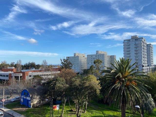 Imagen 11 de la galería