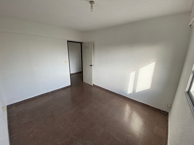 Imagen 10 de la galería