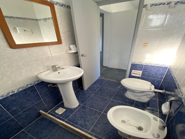 Imagen 7 de la galería