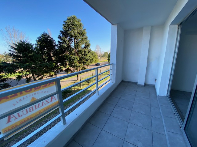 Imagen 12 de la galería