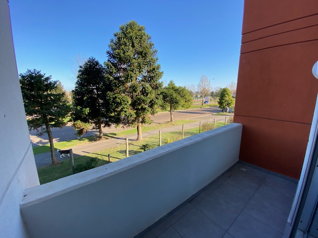 Imagen 7 de la galería