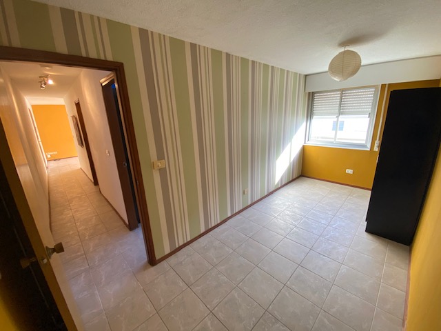 Imagen 8 de la galería