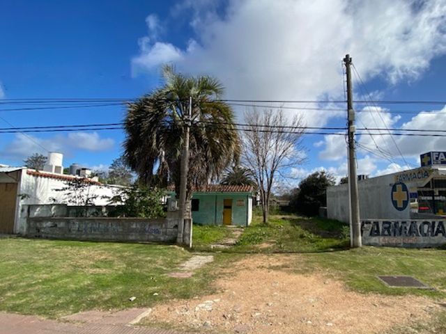 Imagen 1 de la galería