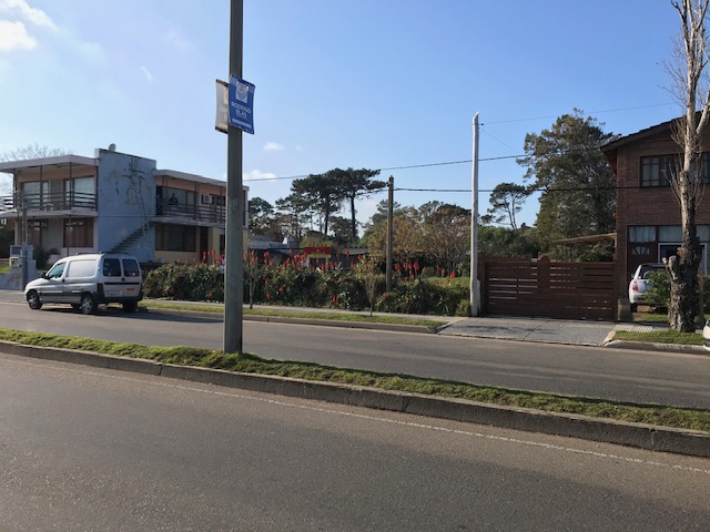 Imagen 1 de la galería