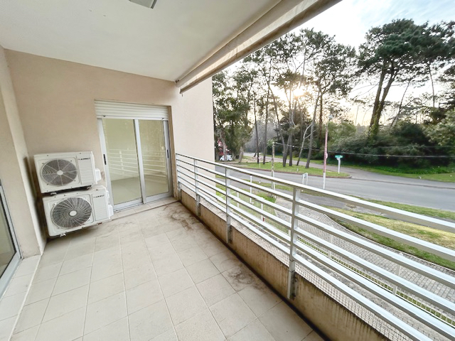 Imagen 11 de la galería