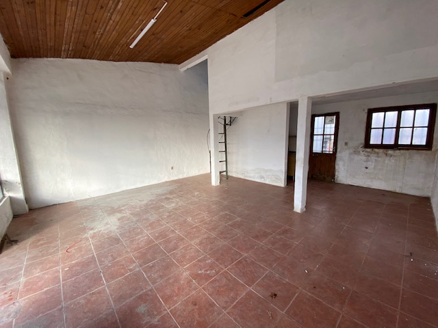 Imagen 3 de la galería