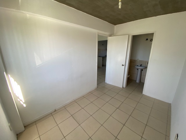 Imagen 12 de la galería