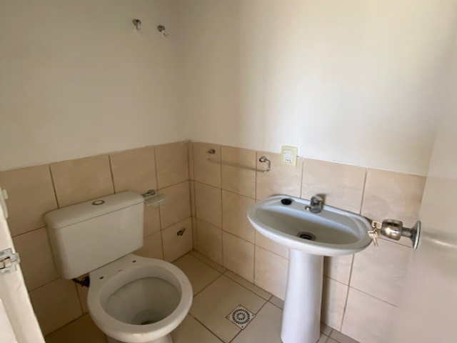 Imagen 13 de la galería