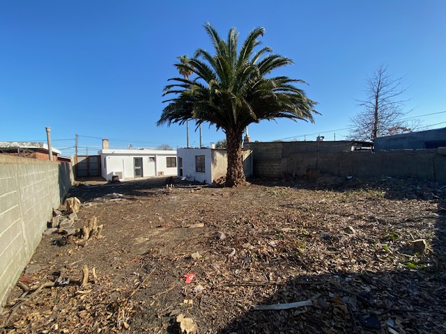 Imagen 10 de la galería