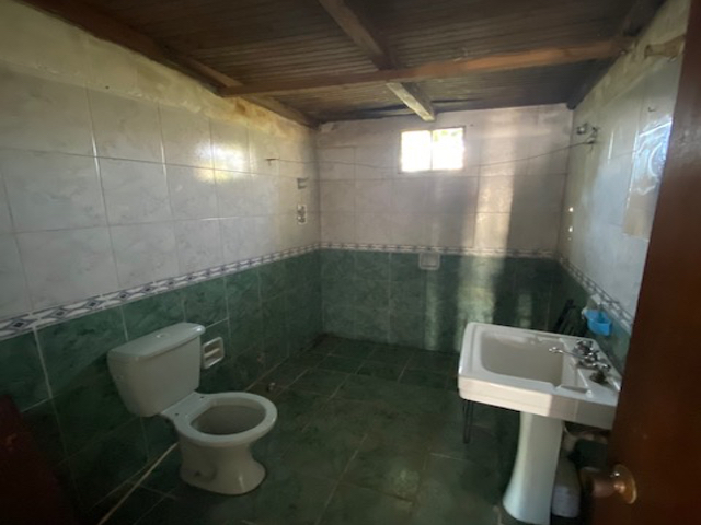 Imagen 5 de la galería