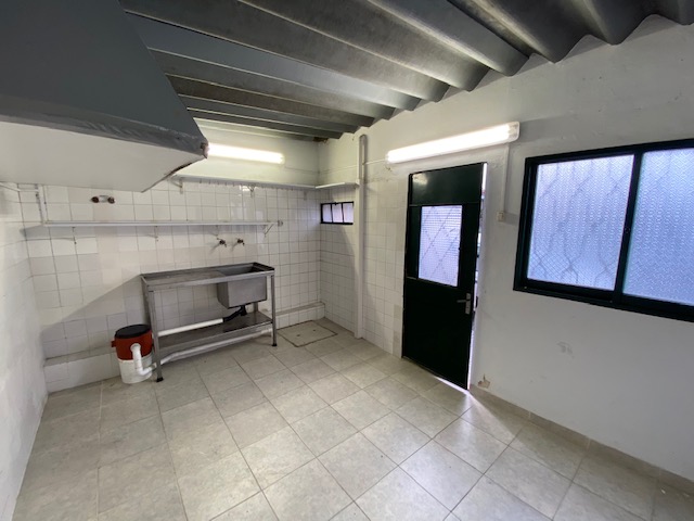 Imagen 5 de la galería