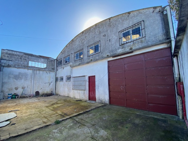 Imagen 1 de la galería