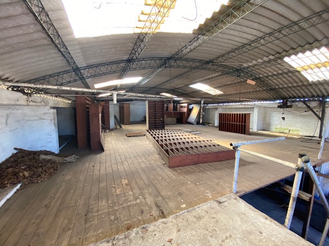 Imagen 7 de la galería