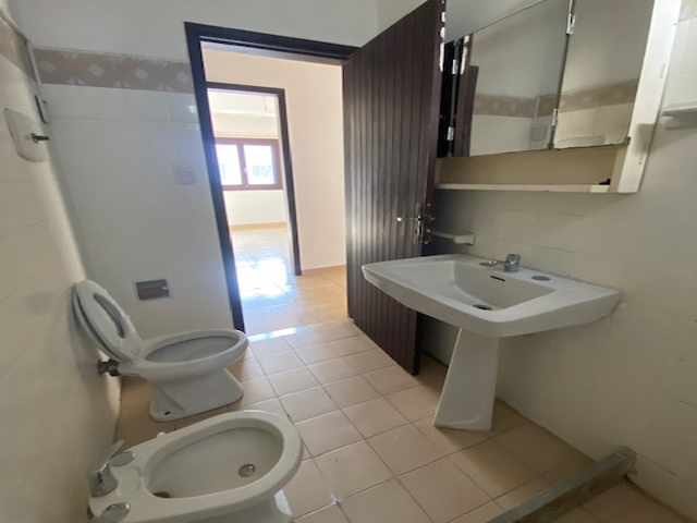 Imagen 11 de la galería