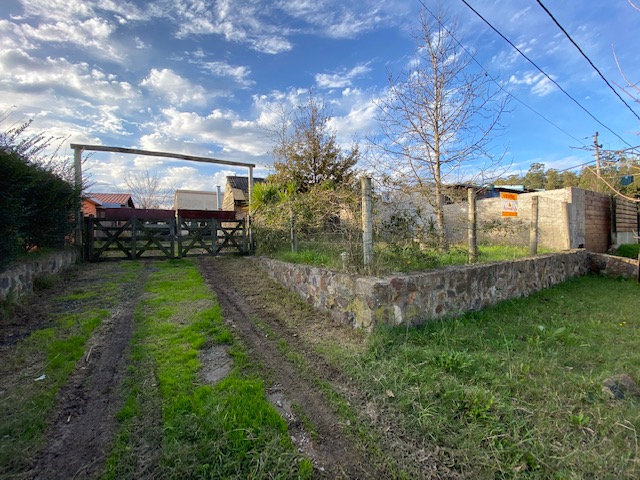 Imagen 1 de la galería