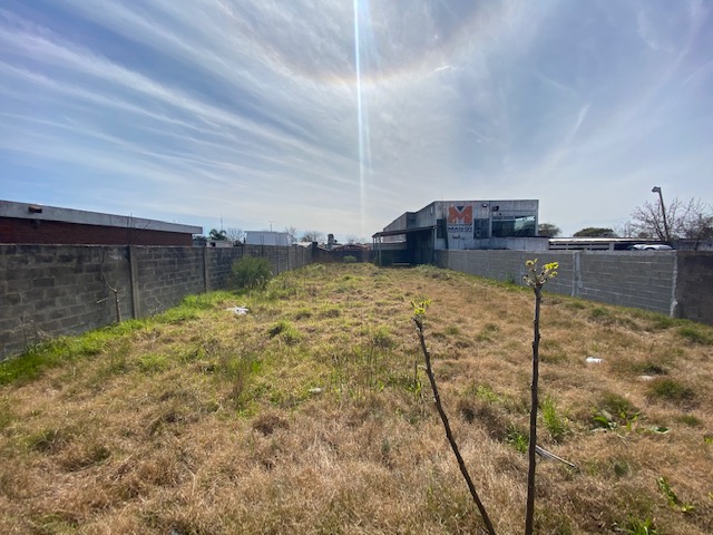 Imagen 1 de la galería