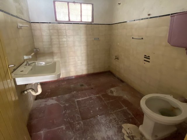 Imagen 3 de la galería