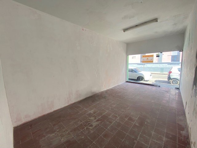 Imagen 4 de la galería