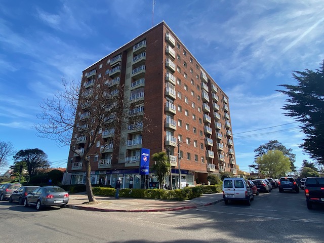 Imagen 1 de la galería