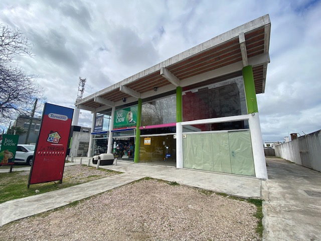 Imagen 1 de la galería