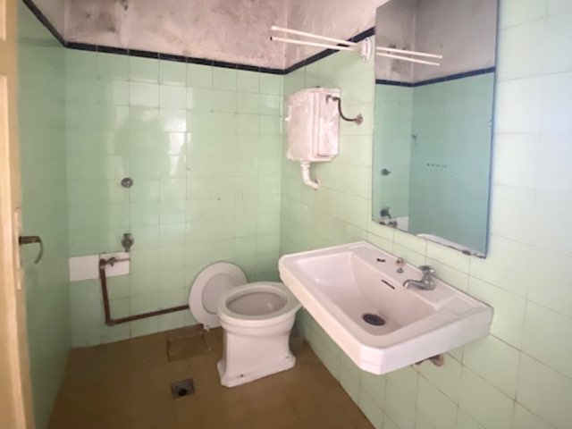 Imagen 2 de la galería