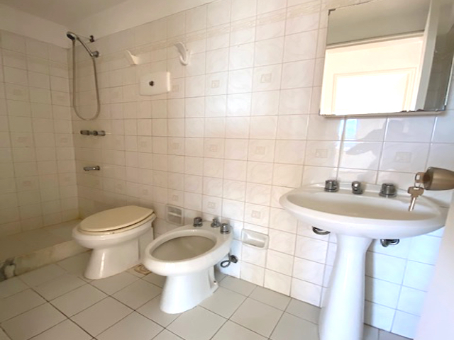 Imagen 7 de la galería