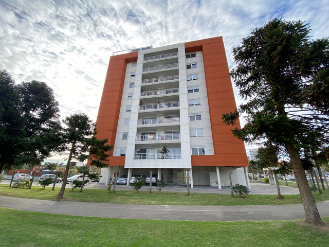 Imagen 1 de la galería