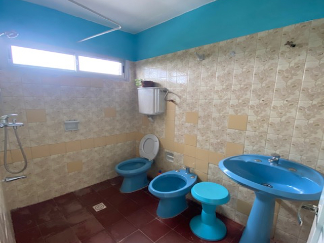 Imagen 8 de la galería