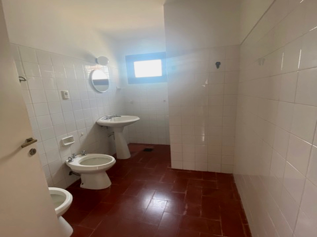 Imagen 10 de la galería