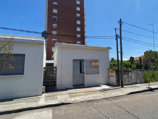 Imagen 1 de la galería