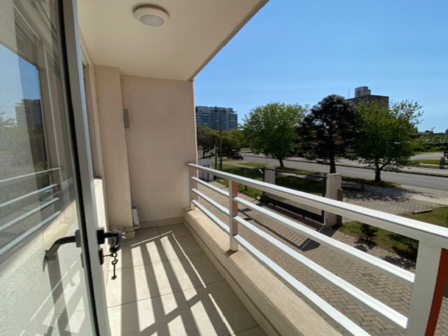 Imagen 12 de la galería