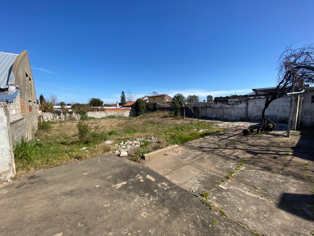 Imagen 8 de la galería