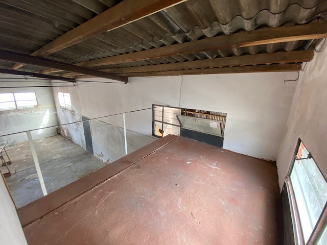 Imagen 4 de la galería