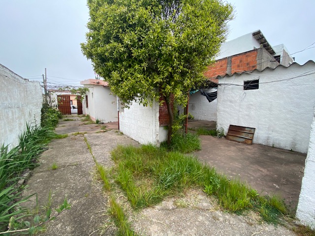 Imagen 10 de la galería