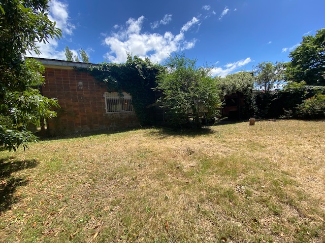 Imagen 14 de la galería