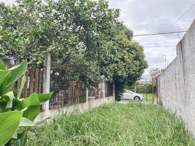 Imagen 7 de la galería