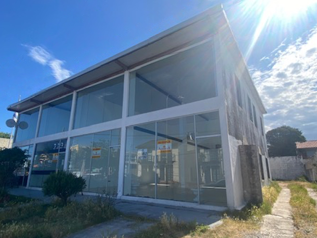 Imagen 1 de la galería