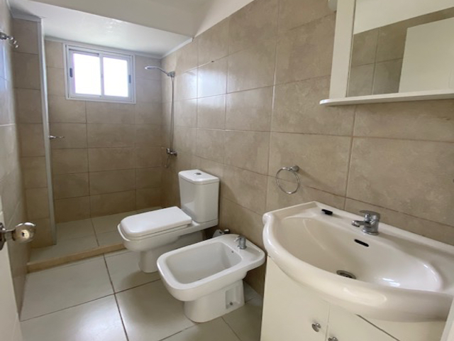 Imagen 7 de la galería