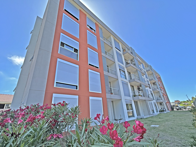 Imagen 1 de la galería