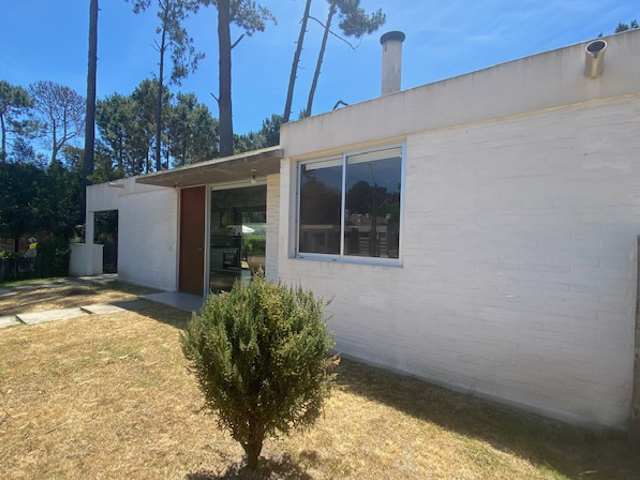 Imagen 1 de la galería