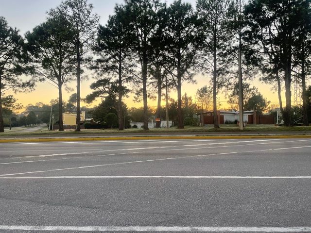 Imagen 1 de la galería