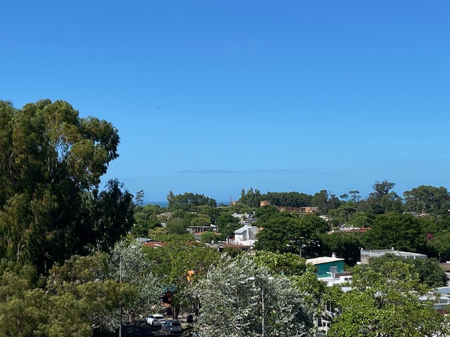 Imagen 9 de la galería