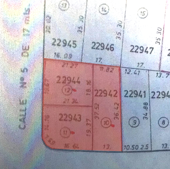 Imagen 1 de la galería