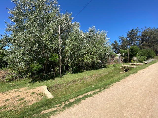 Imagen 2 de la galería