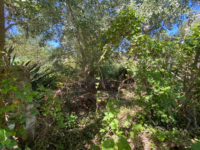 Imagen 3 de la galería