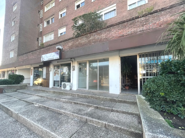 Imagen 1 de la galería