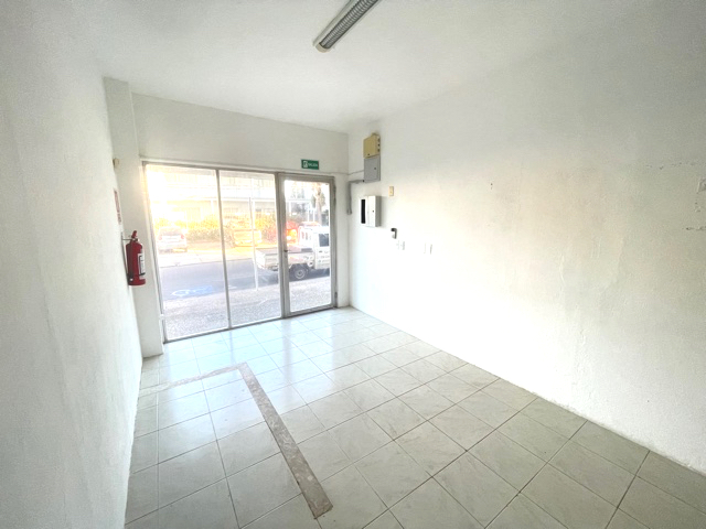 Imagen 3 de la galería