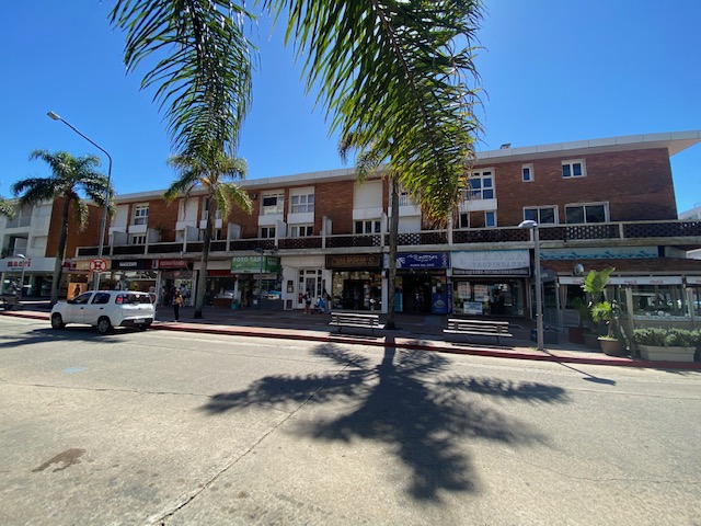 Imagen 1 de la galería